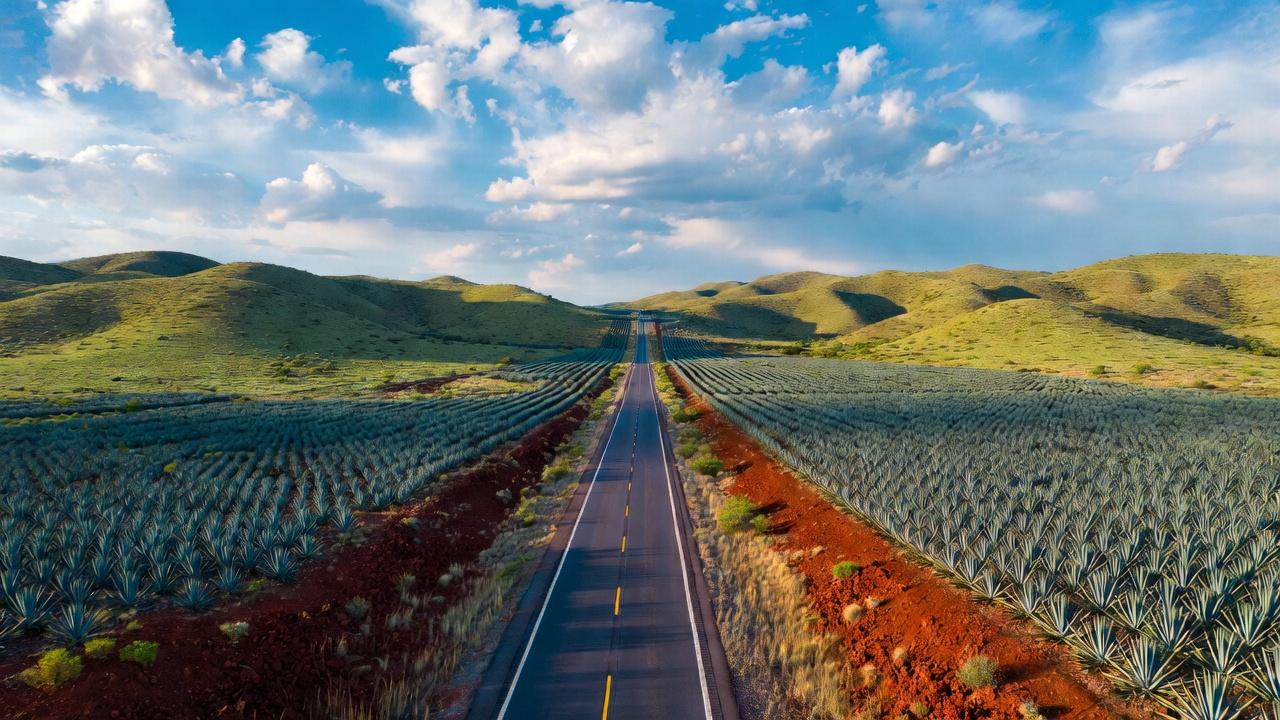 Scenic highway through agave fields on the road from Guadalajara to Tequila